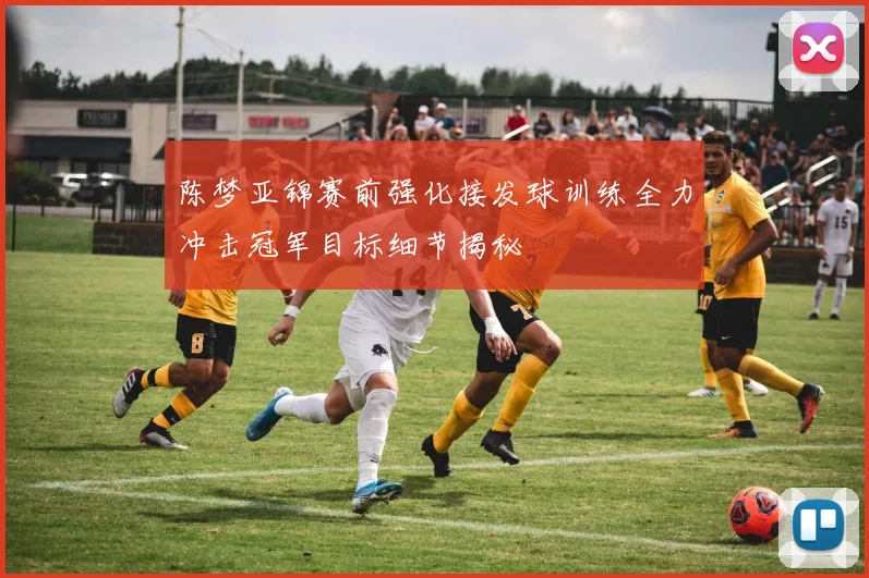 陈梦亚锦赛前强化接发球训练全力冲击冠军目标细节揭秘